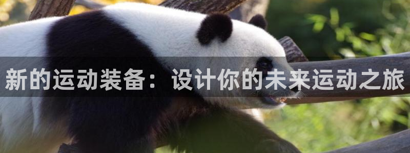 南宫大舞台官网下载平台是正规平台吗:新的运动装备:设计你的未