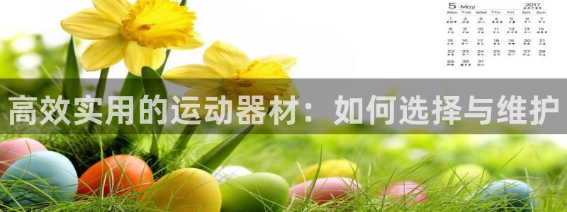 南宫大舞台官方正版app五金厂:高效实用的运动器材:如何选择